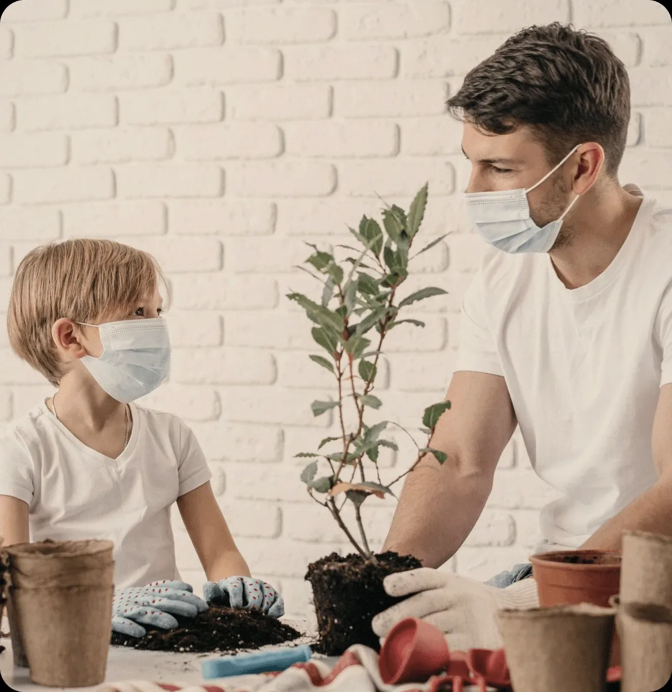 A man and a child in masks potting a plant.