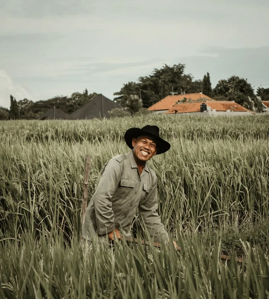 A farmer in a hat in a rice field.