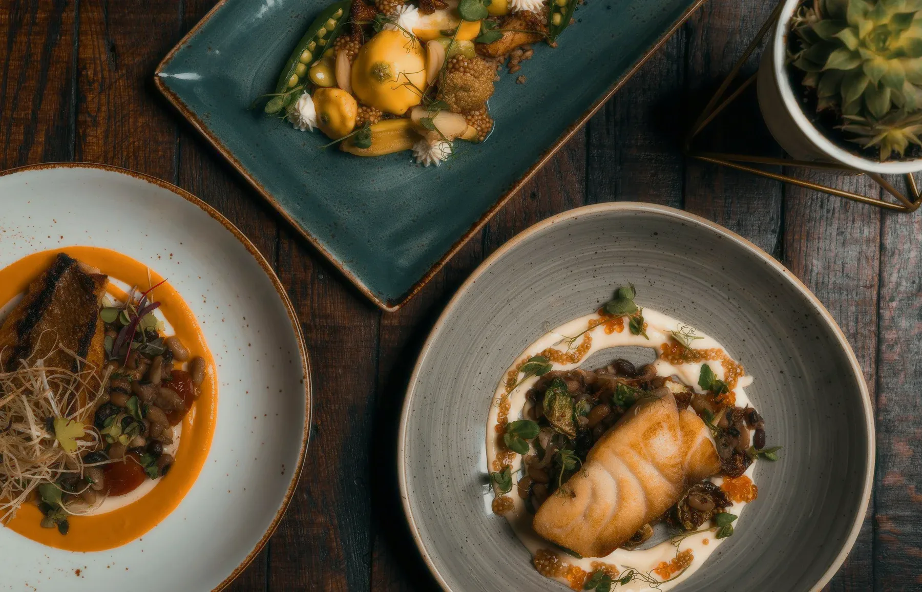 Two plated dishes on a dark wooden table, seen from above.