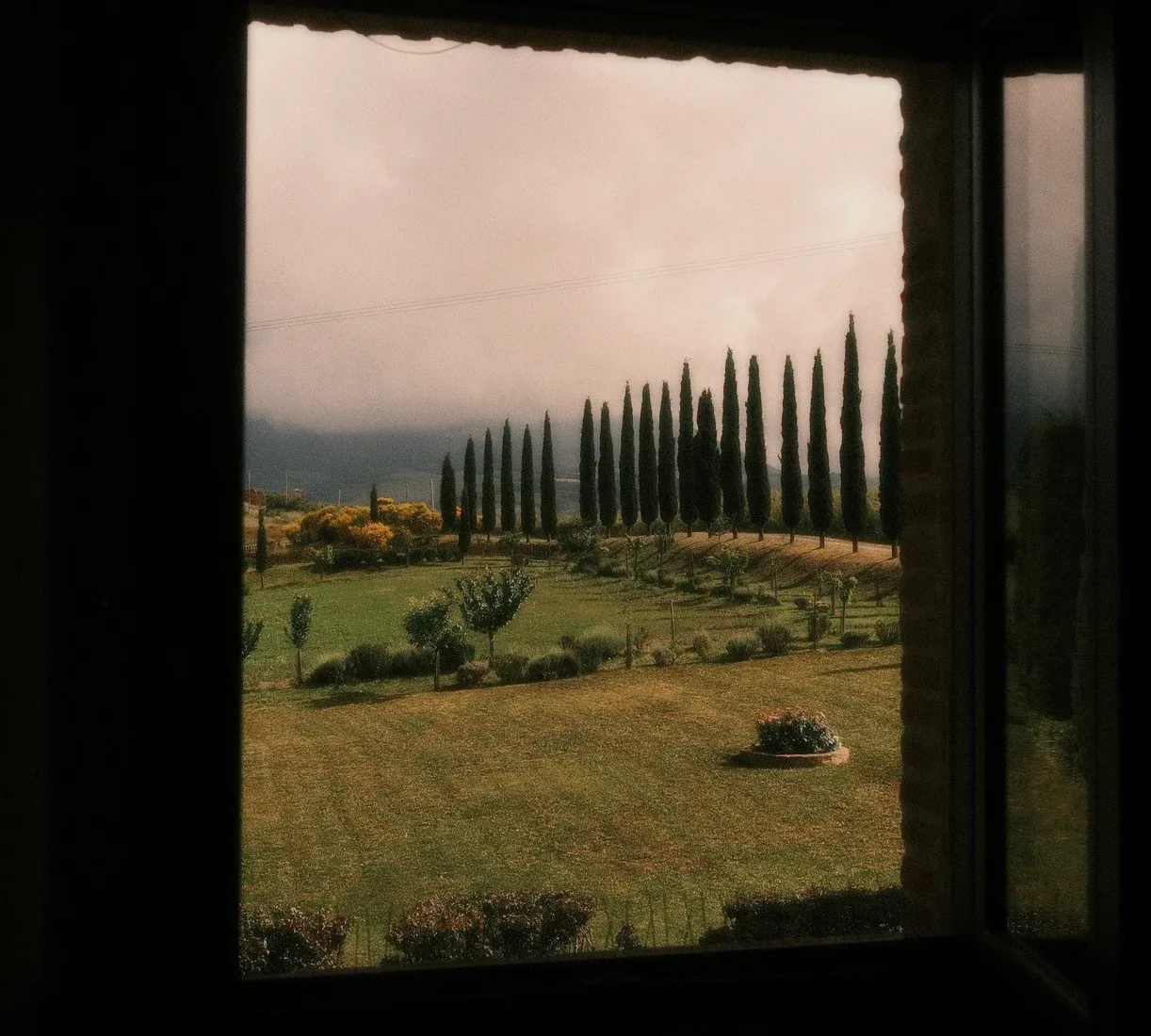 A row of cypress trees seen through an old window, the frame around it.