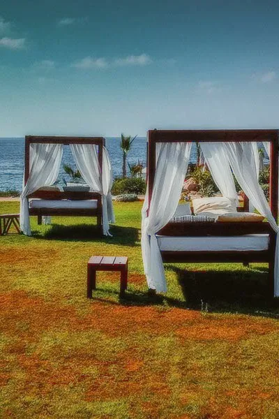 Two canopy beds on a lawn by the sea.